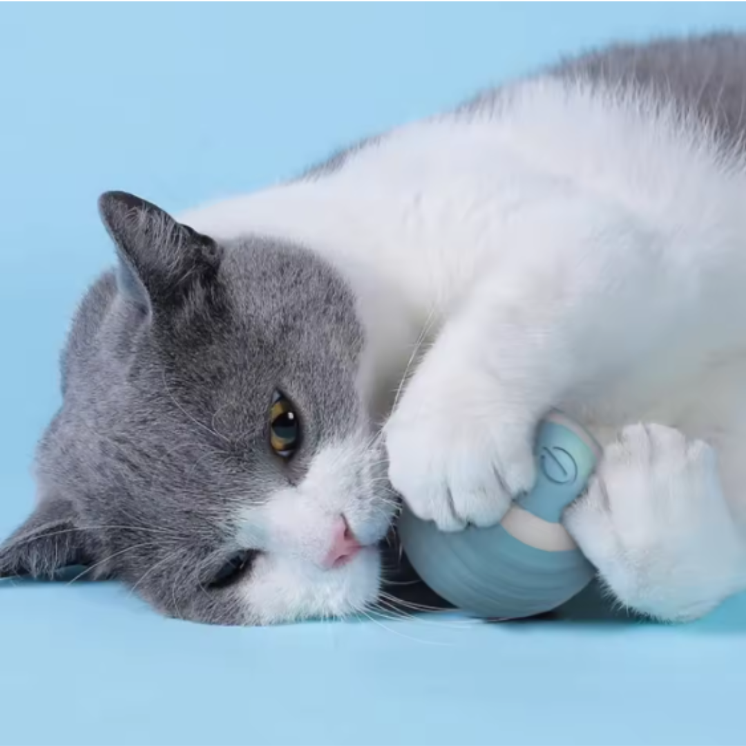🐾 Pelota Interactiva para Mascotas